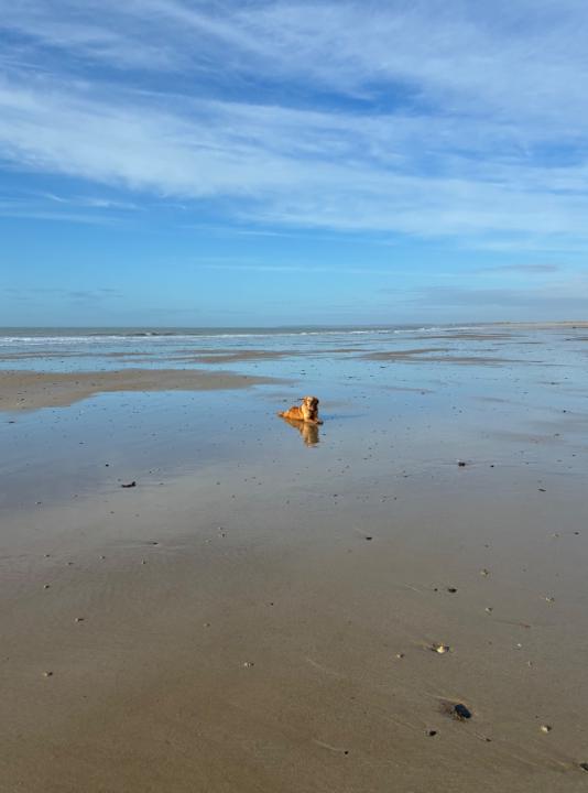 Agnieszka Malejewska