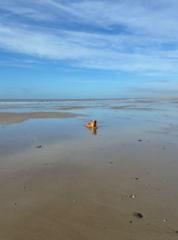 Agnieszka Malejewska