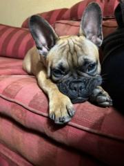 Mario Benito Agra Taboada