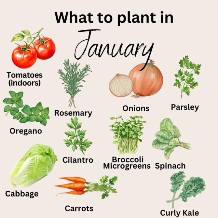 The First Days of Serendipity 