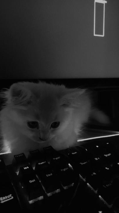 Alessandro D'Ambrosio