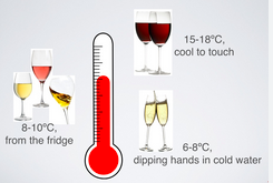 The “One Bottle, Two Temperatures” Trick🍷