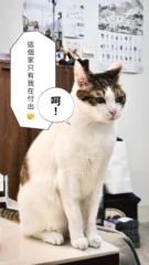 豐馨 鄧