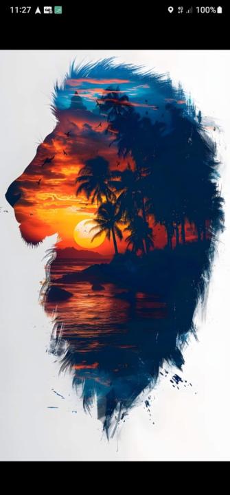 Mohammed Ibrahim