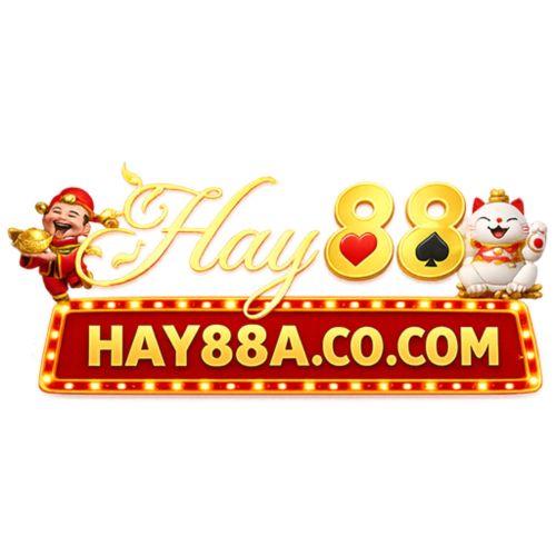 Haytamtam Co