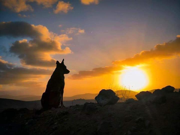 La Prisa (English below)