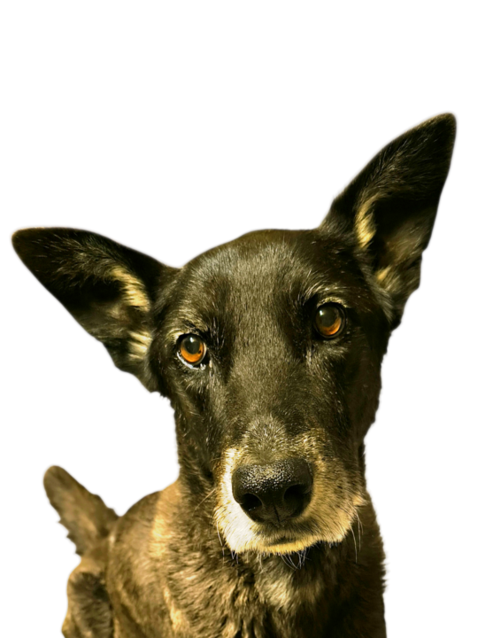 When peace doesn't arrive easily 