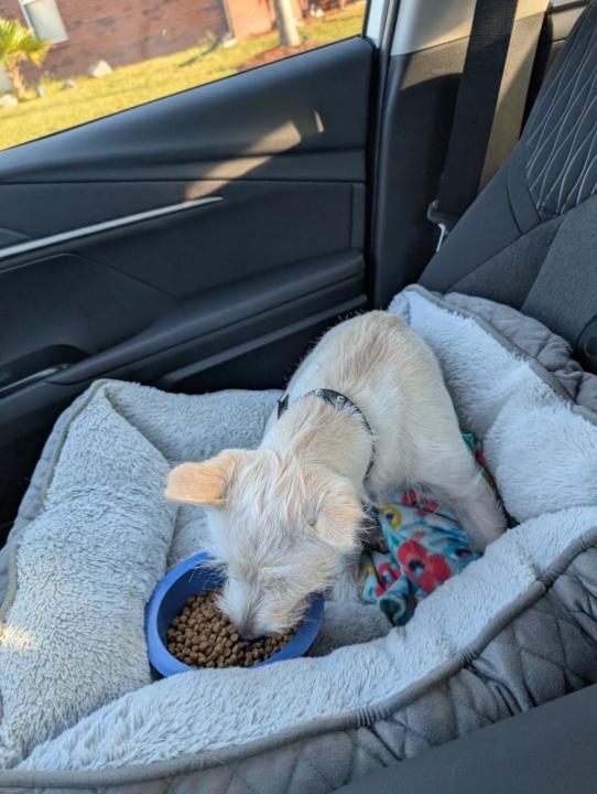 🌄 Good Sunday Morning! 🌞