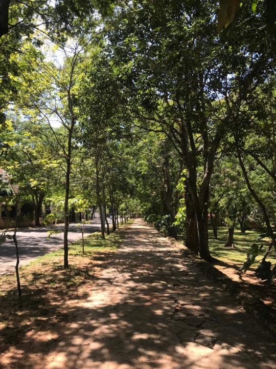 Santiago Diaz de Bedoya