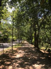 Santiago Diaz de Bedoya