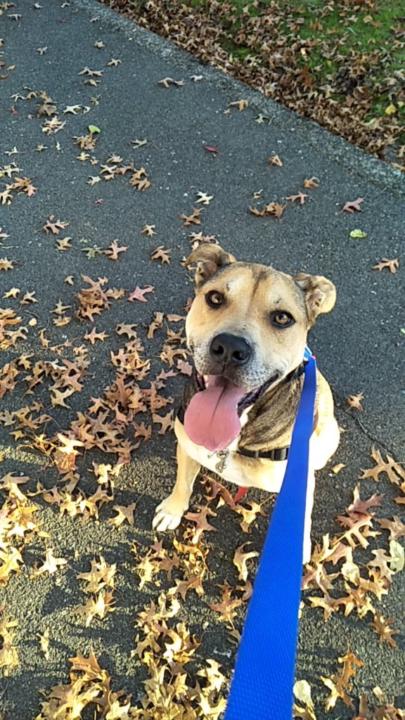 Manuela Miville-Fogliani