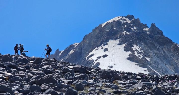 THRIVE LIFE FITNESS CO.