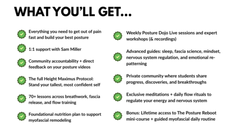 The Posture Dojo Community gallery image