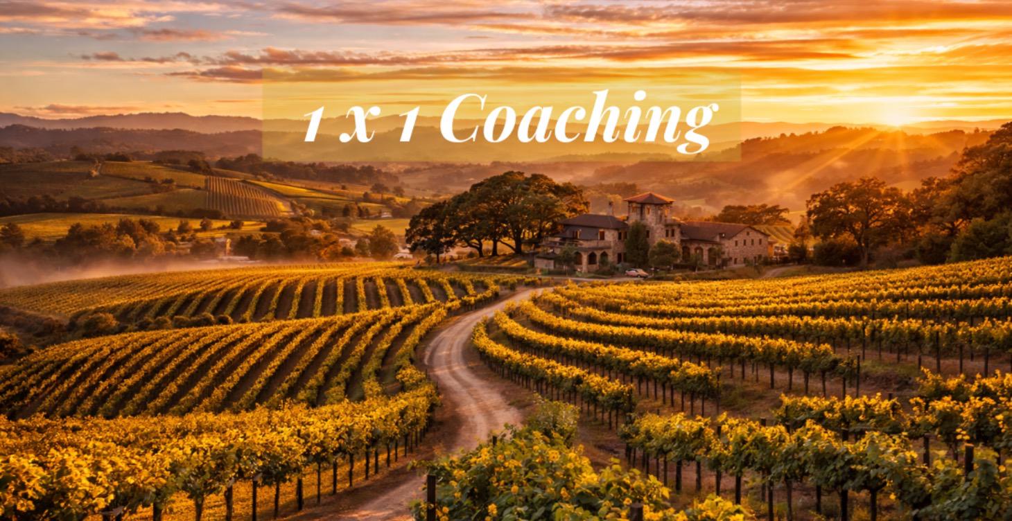 OPEN: 1x1 Coaching Program