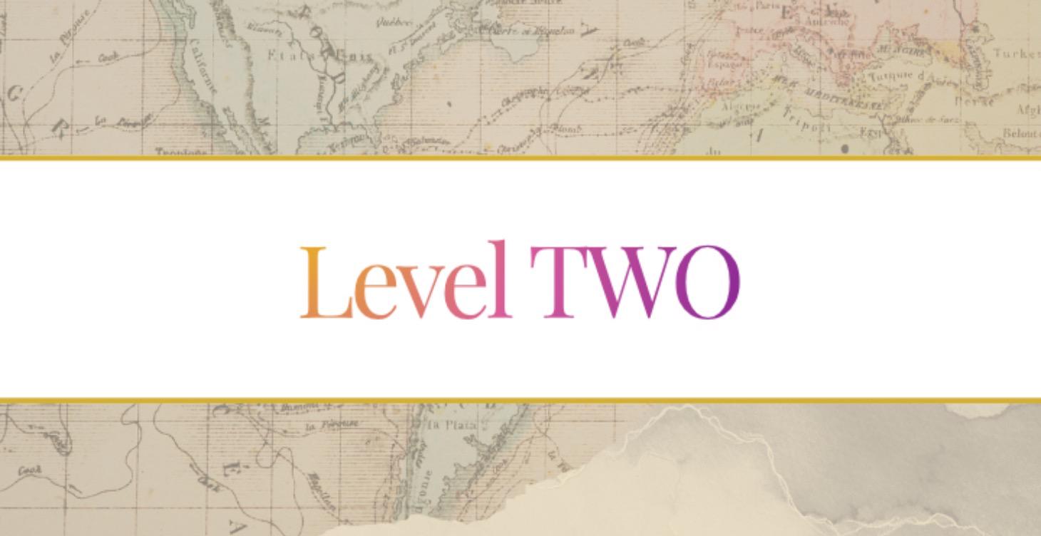 LEVEL 2
