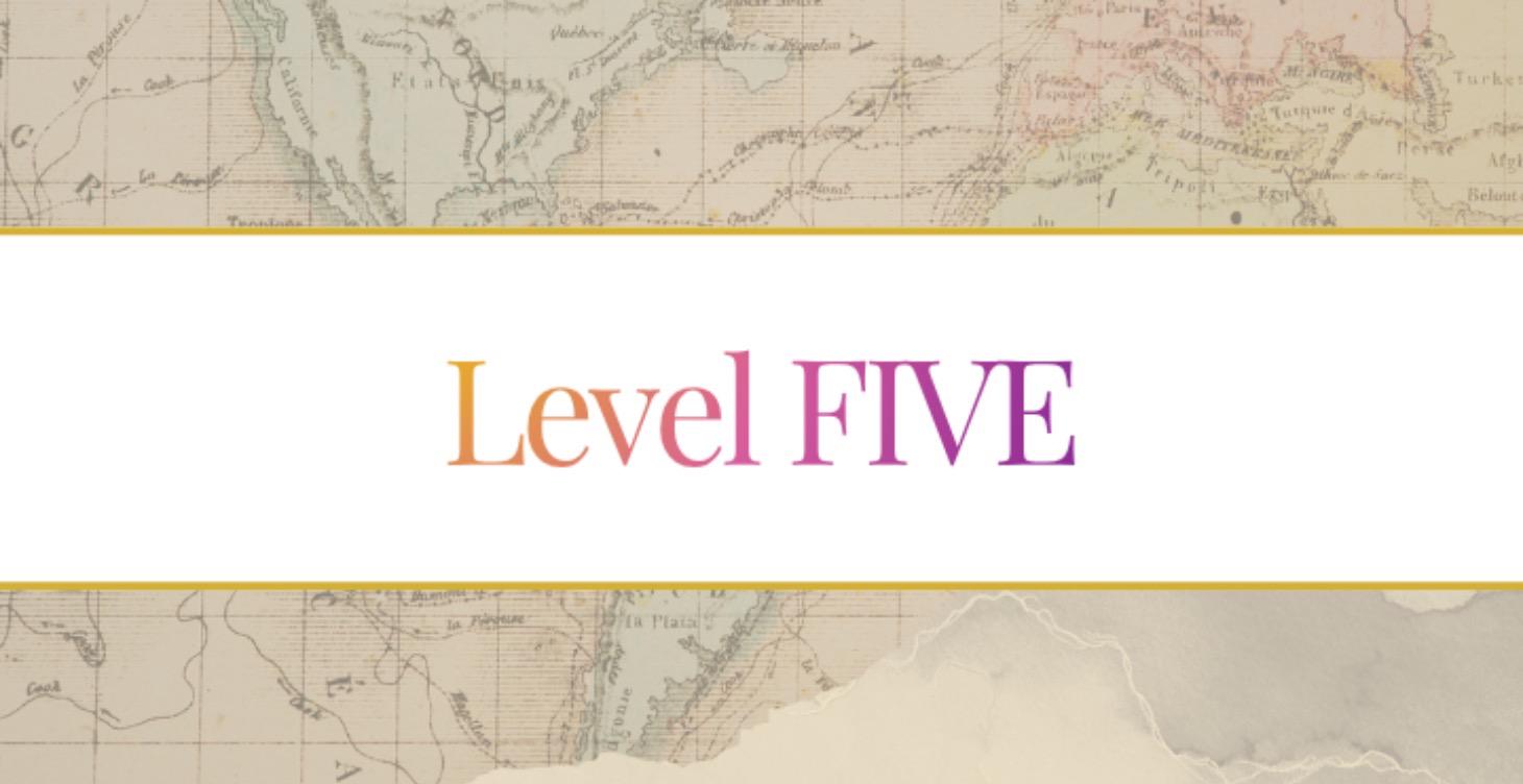 Level 5
