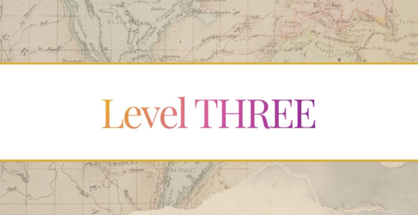 LEVEL 3