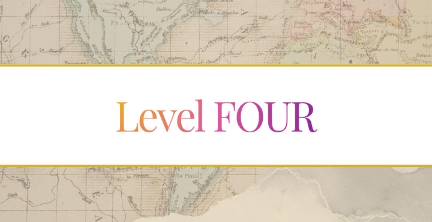 LEVEL 4