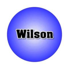 Yao Yao Wilson