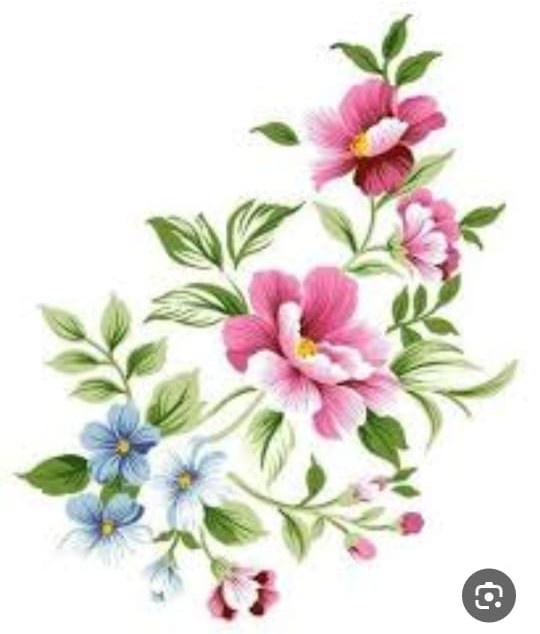 فاطمة عسيري