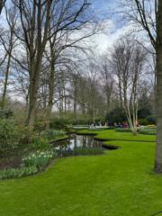 Laura Guijarro Lopez