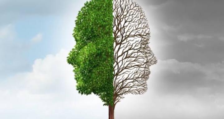 Recovery Starts Here