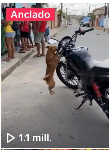 Mi primer millón de visualizaciones en un video