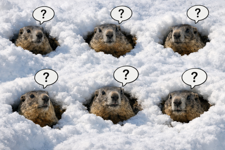 Q&A image