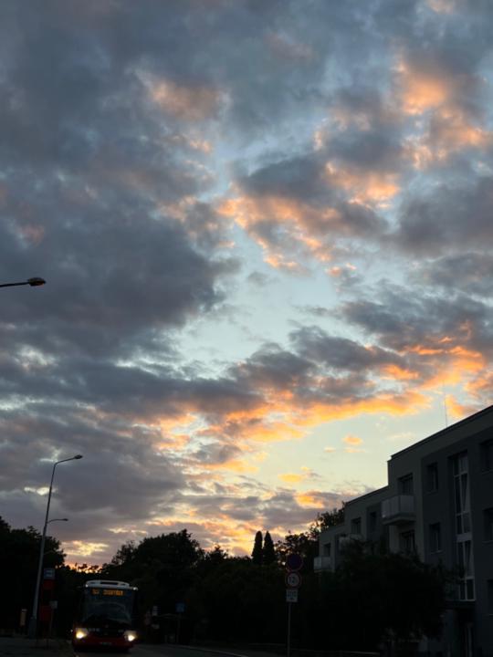 Anhelina Sadovnikova