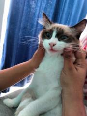 Ivan Ahmed Flores Gonzalez