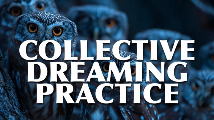 Collective Dreanming Gathering - All Member's Free Zoom Call