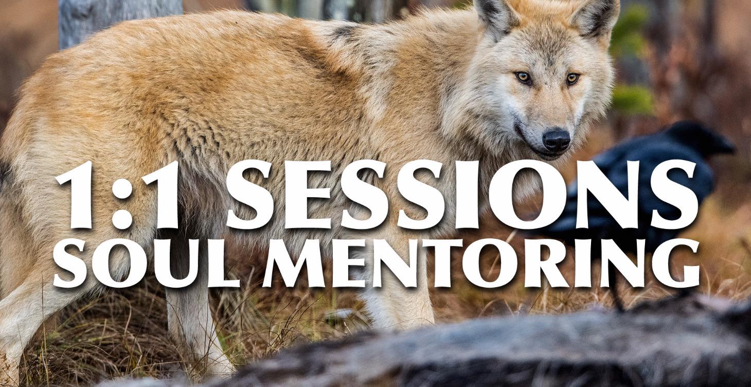 Soul Mentorship 1:1 Sessions
