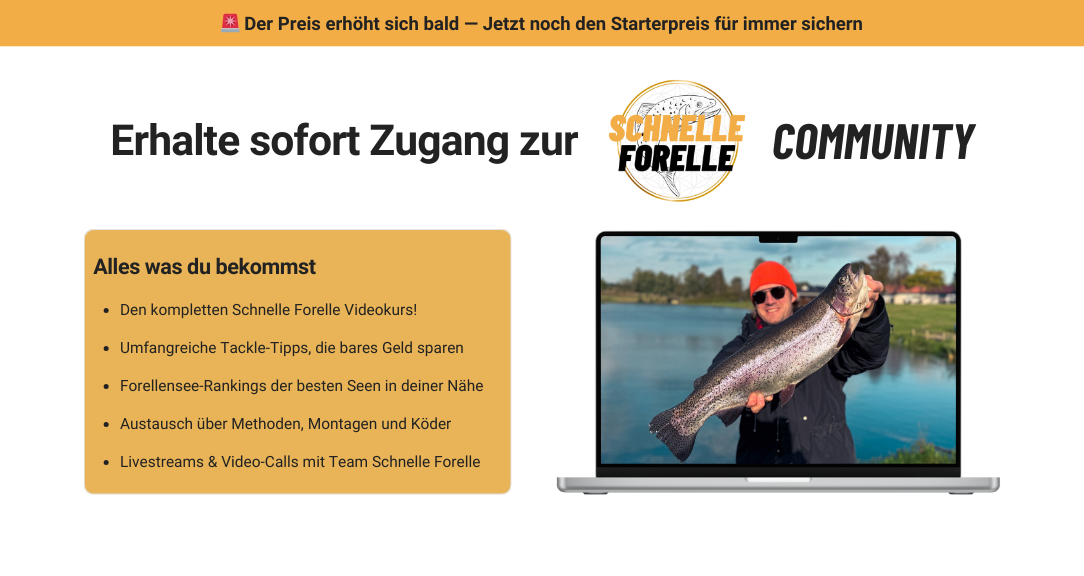 Schnelle Forelle