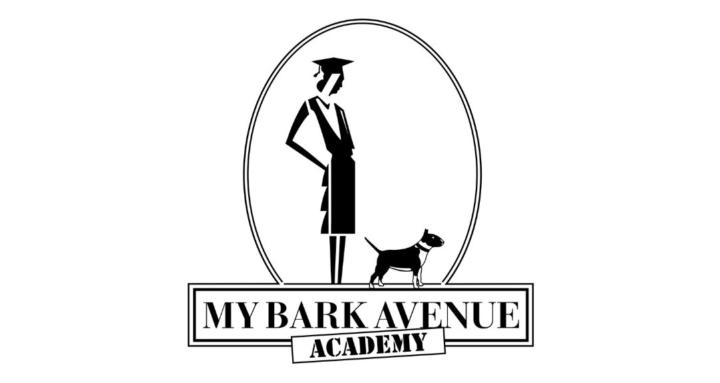 My Bark Avenue Train Your Dog 
