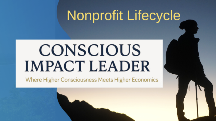 Nonprofit Life Cycle