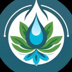 Source Collective
