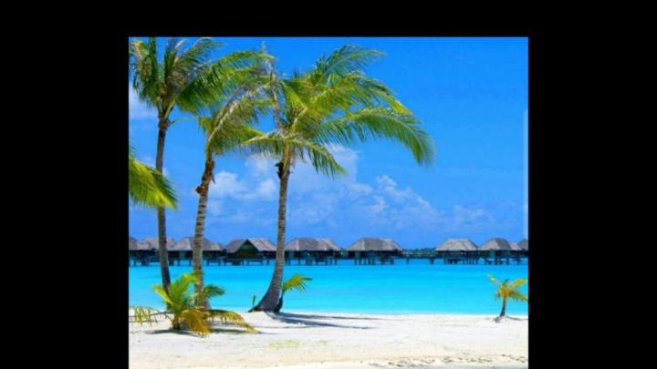 Beverley Stephens-Jeffrey