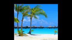 Beverley Stephens-Jeffrey