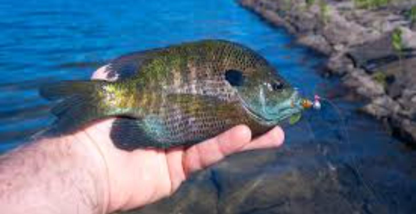 How to Get Out and Catch Fish!