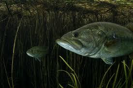 Course Update 2/18/26