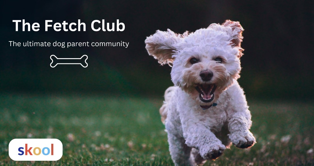 The Fetch Club