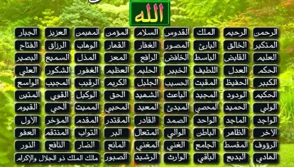 فايز السبيعي فايز السبيعي