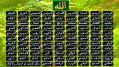 فايز السبيعي فايز السبيعي