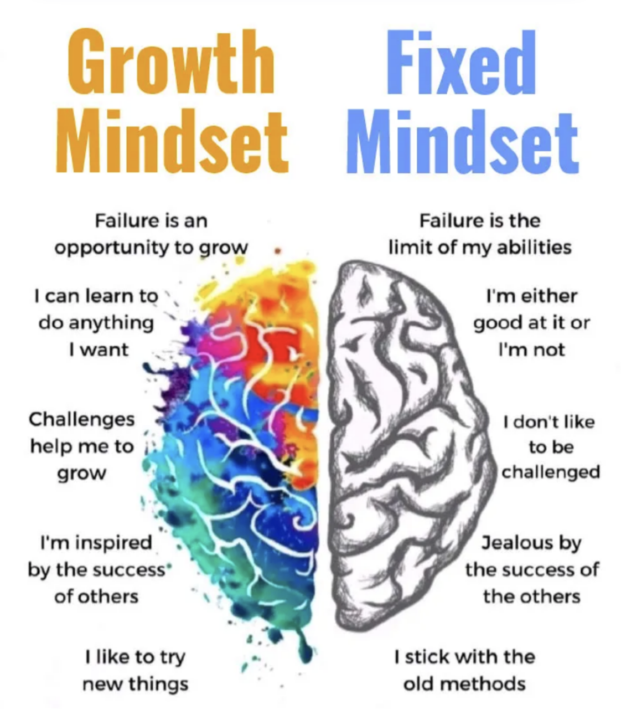 ✅ Growth Mindset VS ❌ Fixed Mindset