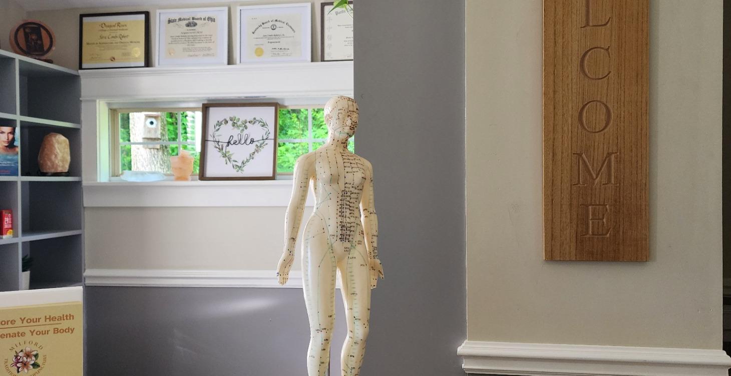 Opening Your Own Acupuncture Practice