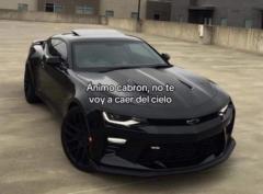 Noemí  del Pilar Romero Paredes