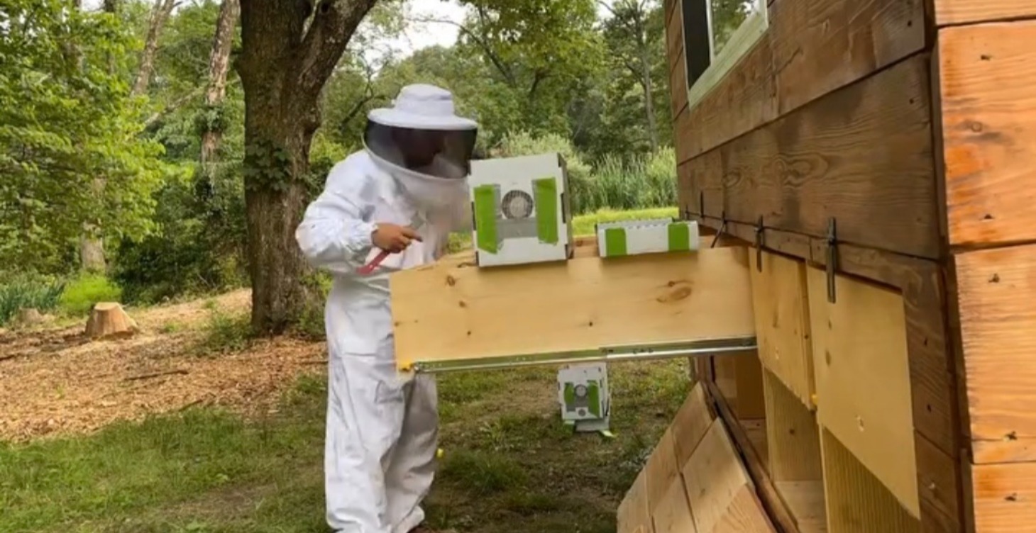 Beekeeping 101