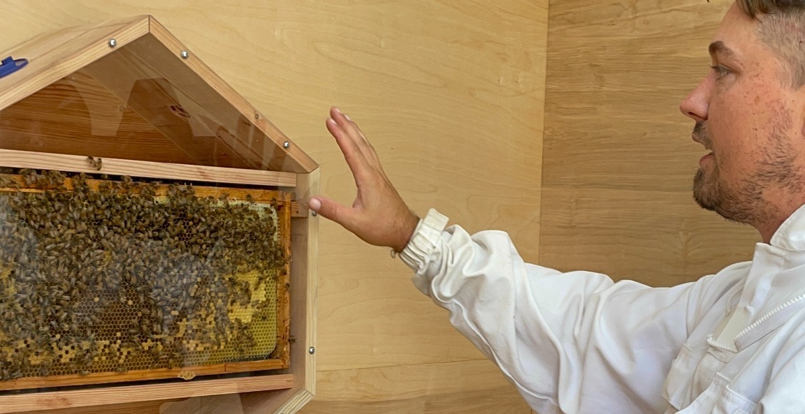 Keeping Indoor Bees