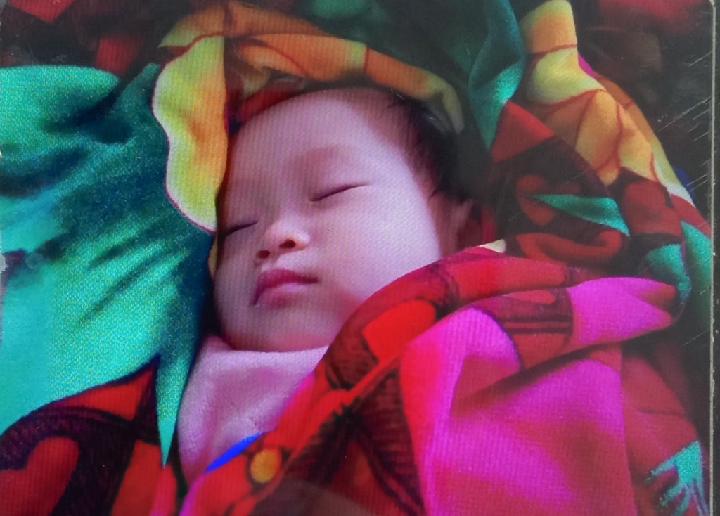 Thanh Ha