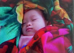 Thanh Ha